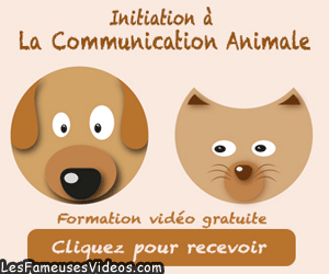INITIATION A LA COMMUNICATION ANIMALE